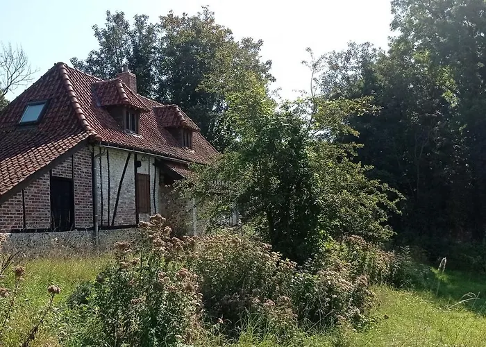 Couette-café Bergerie Du Château Alette